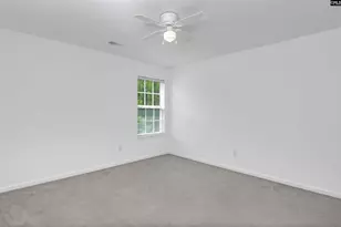 48 Rustyred Ct, Chapin, SC 29036 - Photo 32