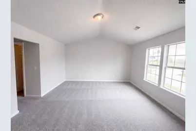 272 Cape Jasmine Way, Lexington, SC 29073 - Photo 4