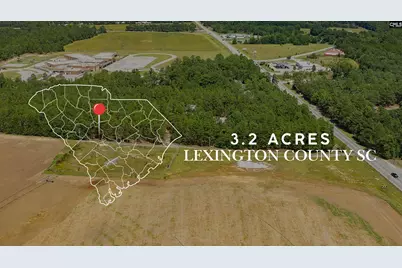 8004 Edmund Highway, Pelion, SC 29123 - Photo 1