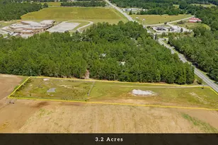 8004 Edmund Hwy, Pelion, SC 29123 - Photo 6