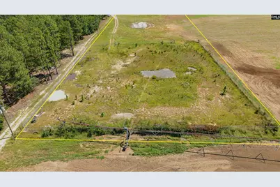 8004 Edmund, Pelion, SC 29123 - Photo 8