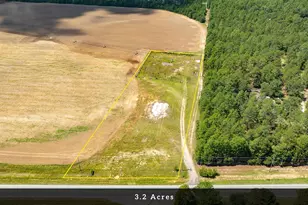 8004 Edmund Hwy, Pelion, SC 29123 - Photo 4