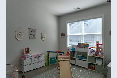 218 Chapin Brook Court, Chapin, SC 29036 - Photo 6