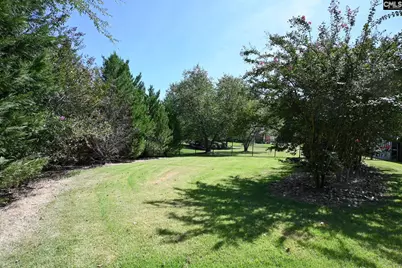 220 Ascot Glen Road, Irmo, SC 29063 - Photo 86