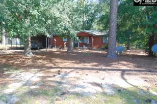 219 Walter Taylor Rd, Gilbert, SC 29054 - Photo 2