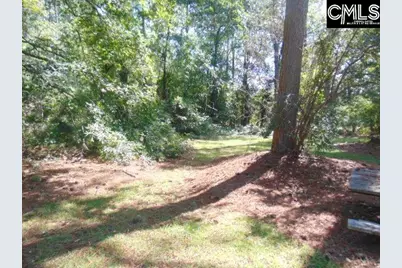 219 Walter Taylor Road, Gilbert, SC 29054 - Photo 20