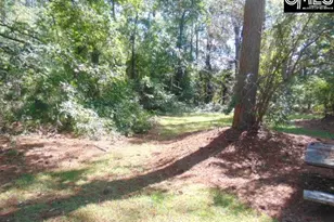 219 Walter Taylor Rd, Gilbert, SC 29054 - Photo 20
