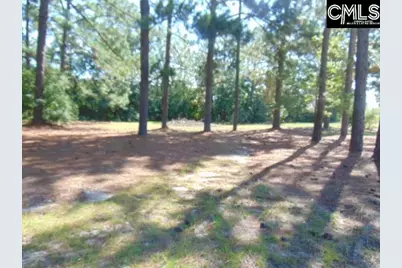 219 Walter Taylor Road, Gilbert, SC 29054 - Photo 26