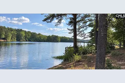333 Calmont Drive, Sandy Run, SC 29160 - Photo 2