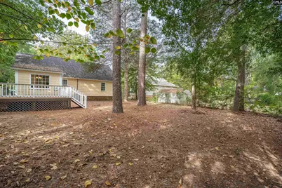 1411 Chadford Road, Irmo, SC 29063 - Photo 34