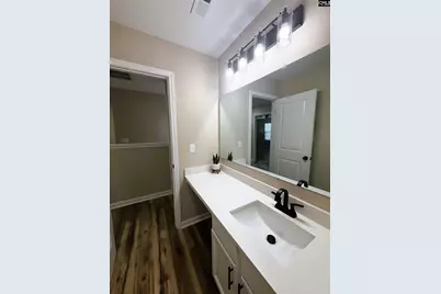 124 Congaree Mill Lane, West Columbia, SC 29169 - Photo 24