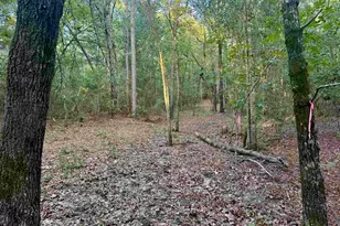0 Edisto Lake Rd, Wagener, SC 29164 - Photo 14