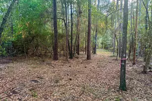 0 Edisto Lake Rd, Wagener, SC 29164 - Photo 10