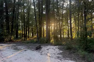 0 Edisto Lake Rd, Wagener, SC 29164 - Photo 16