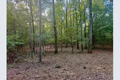0 Edisto Lake Road #104, Wagener, SC 29164 - Photo 12