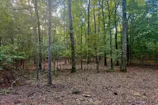 0 Edisto Lake Rd, Wagener, SC 29164 - Photo 12