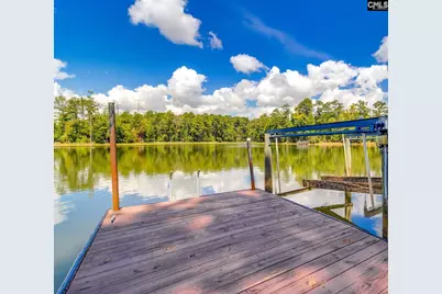 346 Smallwood Drive, Chapin, SC 29036 - Photo 36
