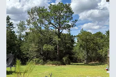 180 Crystal Springs Road, Lexington, SC 29073 - Photo 2