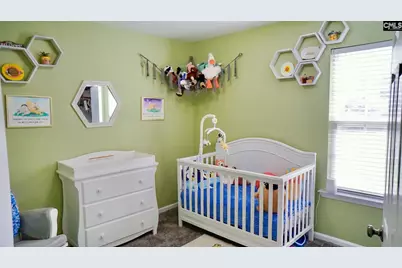220 Riglaw Circle, Lexington, SC 29073 - Photo 20