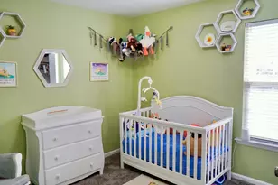 220 Riglaw Cir, Lexington, SC 29073 - Photo 20