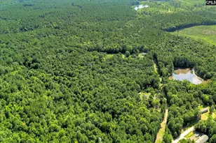 301 Lilton Rd, Winnsboro, SC 29180 - Photo 12