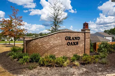 253 Blue Valley Court, Columbia, SC 29203 - Photo 38