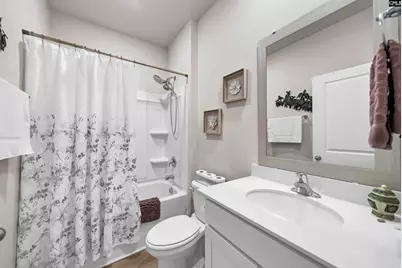 253 Blue Valley Court, Columbia, SC 29203 - Photo 18