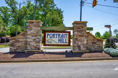 436 Maria Posada Court, Chapin, SC 29036 - Photo 72