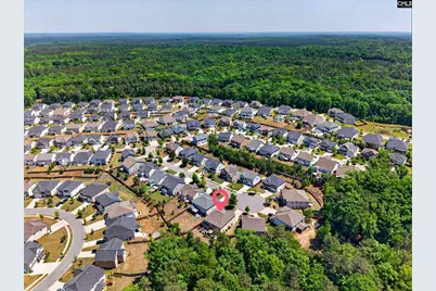 436 Maria Posada Court, Chapin, SC 29036 - Photo 62