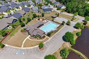 436 Maria Posada Ct, Chapin, SC 29036 - Photo 68