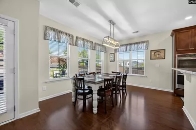 436 Maria Posada Court, Chapin, SC 29036 - Photo 24