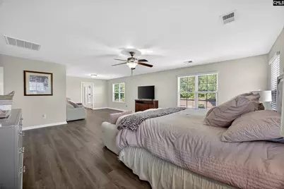 436 Maria Posada Court, Chapin, SC 29036 - Photo 46