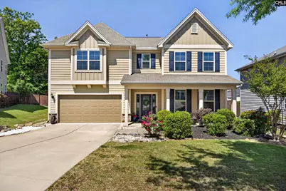 436 Maria Posada Court, Chapin, SC 29036 - Photo 8
