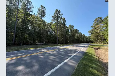 367 Murray Lindler Road, Chapin, SC 29036 - Photo 2