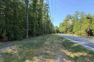 367 Murray Lindler Rd, Chapin, SC 29036 - Photo 1