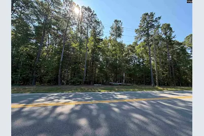 379 Murray Lindler Road, Chapin, SC 29036 - Photo 1