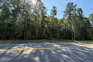 379 Murray Lindler Rd, Chapin, SC 29036 - Photo 1