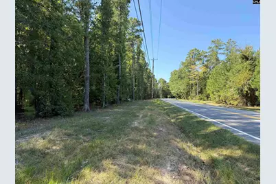 379 Murray Lindler Road, Chapin, SC 29036 - Photo 2