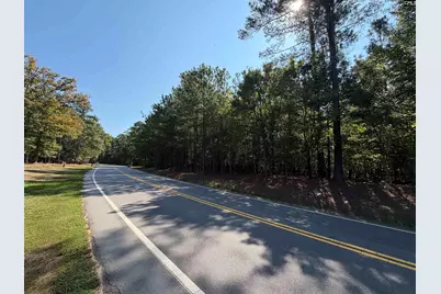 391 Murray Lindler Road, Chapin, SC 29036 - Photo 1