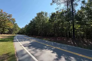 391 Murray Lindler Rd, Chapin, SC 29036 - Photo 1