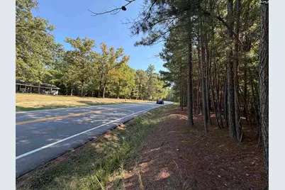 391 Murray Lindler Road, Chapin, SC 29036 - Photo 2