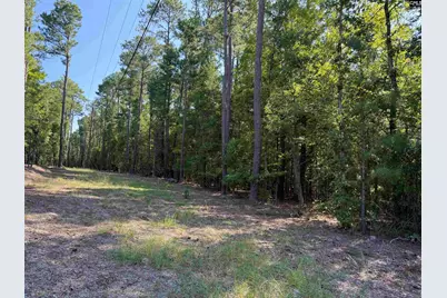427 Murray Lindler Road, Chapin, SC 29036 - Photo 4