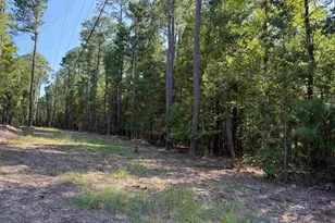 427 Murray Lindler Rd, Chapin, SC 29036 - Photo 4