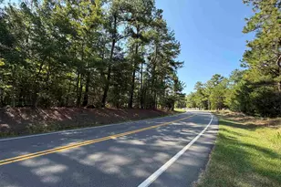 427 Murray Lindler Rd, Chapin, SC 29036 - Photo 1