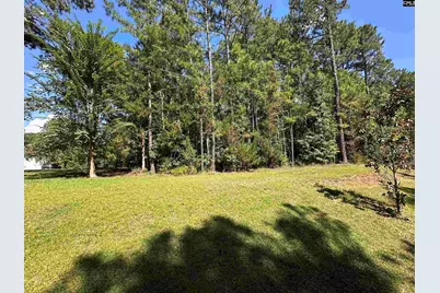 143 Eagle Chase Court #5, Chapin, SC 29036 - Photo 4