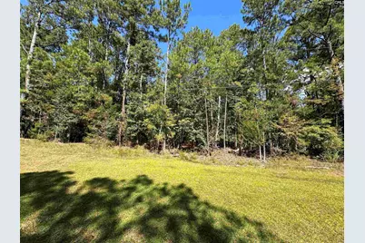 143 Eagle Chase Court #5, Chapin, SC 29036 - Photo 6