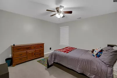 221 Foxport Drive, Chapin, SC 29036 - Photo 26