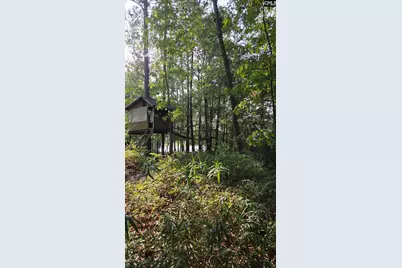 718 Sparrow Hawk Court, Blythewood, SC 29016 - Photo 42