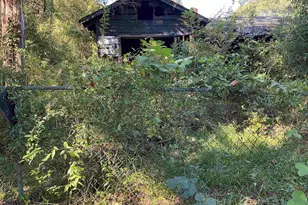 66 Swan Ln, Bamberg, SC 29003 - Photo 2