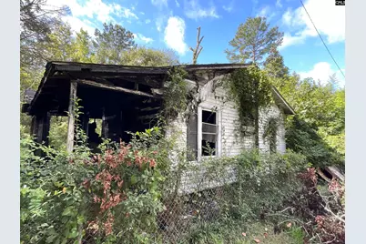 66 Swan Lane, Bamberg, SC 29003 - Photo 2